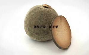 正毛橘红果