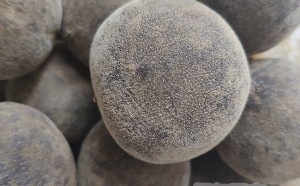 化橘红的功效与作用 10篇文章