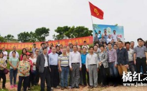 良种、新应用：进入化橘红基地现场指导