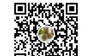橘红之家公众号是哪个