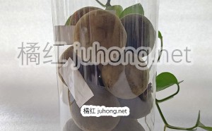 化橘红图片 橘红图片 桔红图片，10张正宗化州橘红图片