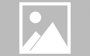 高手这样介绍化橘红