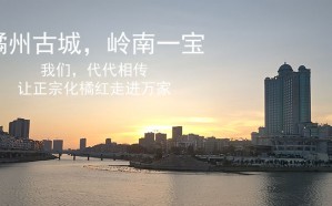 发展历程