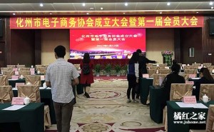 化州市电子商务协会正式成立