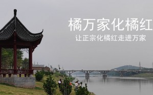 橘万家2021年化橘红行业年度报告