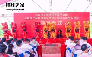 广东化州：举行化橘红产业园奠基仪式
