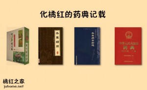 化橘红协会说化橘红