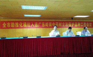 化橘红投票运动在疯狂