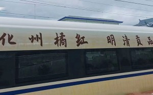 6月28化州橘红走进高铁首发仪式