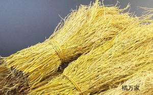三宝扎的禾秆草可以食用吗