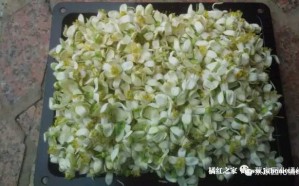 还能这样分类：化橘红花的新分类
