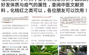 化橘红可以治疗新型冠状病毒引起的肺炎吗
