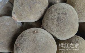 《土壤酸度对化橘红柚皮苷含量的影响》：化橘红对土地酸碱性要求