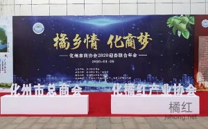 化州市商协会2020迎春联合年会顺利举办