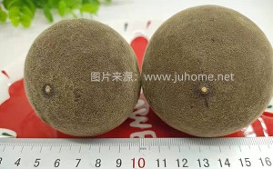 橘万家中果 - 化橘红原果 - 正宗化橘红图片