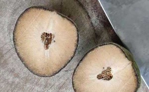 橘红果切开是怎样的？（揭秘化州橘红的内部图片）