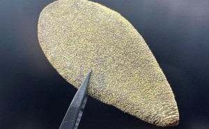 按照传统既是食品又是中药材的物质目录