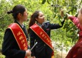 化州市将于3月11日举办2023年化橘红赏花节