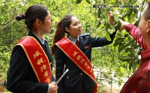 化州市将于3月11日举办2023年化橘红赏花节