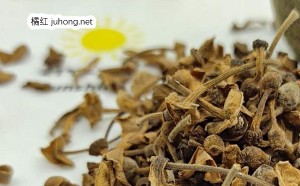 橘红花是寒凉吗？怎么食用？