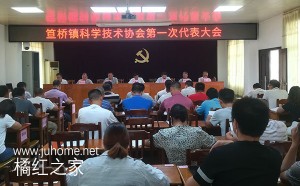 化州新闻：化州各镇成立科学技术协会