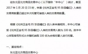 正金毛化州橘红上市了？
