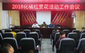 化州平定镇召开2018化橘红赏花活动工作会议
