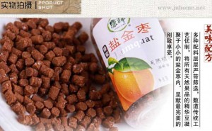 化州橘红丹