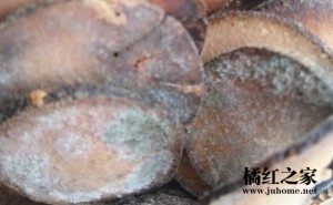 注意保存化橘红：发霉的化州橘红不要吃了