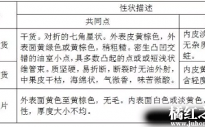 中药材商品规格等级 化橘红