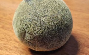 3张真假化州橘红的图片