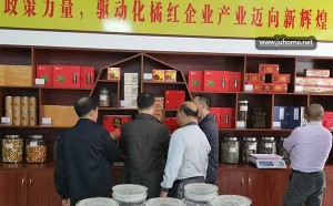 广西南宁、隆安工商联参观化州市化橘红展厅