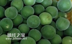 2023化州橘红收购价格，化州橘红收购价多少钱一斤？
