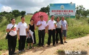 信宜网协考察我电商协会化橘红企业