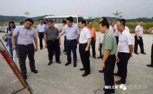 中国化橘红产业园持续推进
