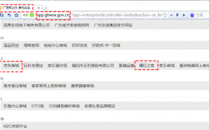 进驻广货网上行