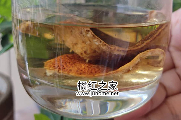 新会陈皮