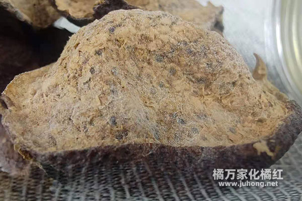 发霉的陈皮