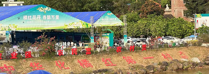 中华化橘红第一村