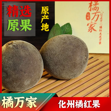 化州橘红原果